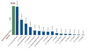 Comparativa planta nuclear junto a producción hidroelectrica